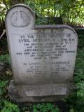 image of grave number 484416